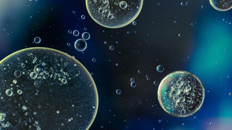 কোরআনে জীববিজ্ঞান: পানি থেকে সৃষ্টির বিস্ময়কর ঘোষণা