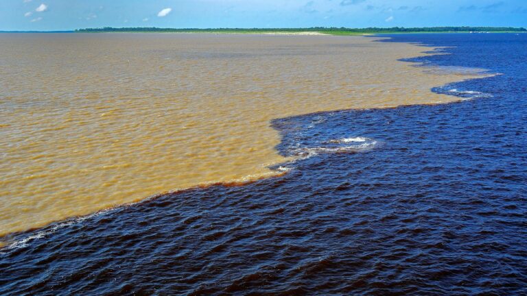 Logic Tv, Logic Tv Blog, LogicTvBlog, Logic Tv Bangla