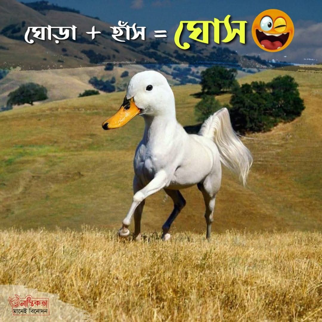 Logic Tv, Logic Tv Blog, LogicTvBlog, Logic Tv Bangla,