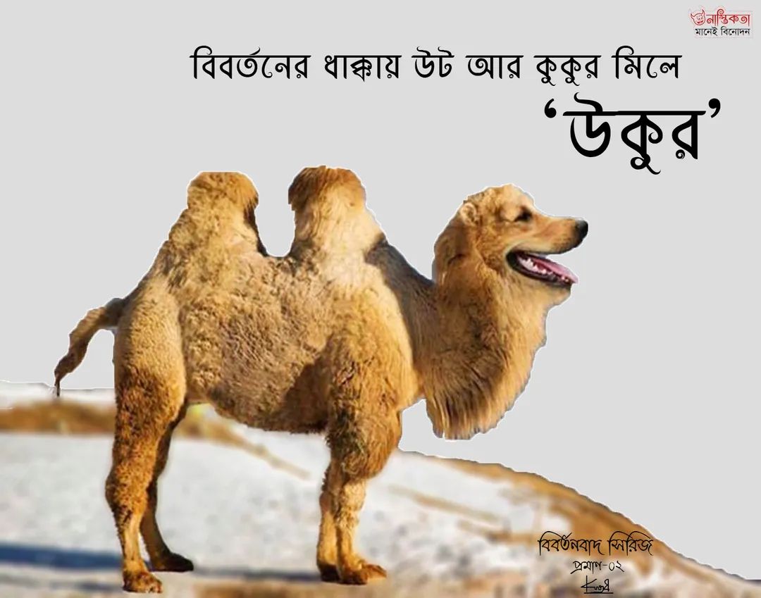 Logic Tv, Logic Tv Blog, LogicTvBlog, Logic Tv Bangla,