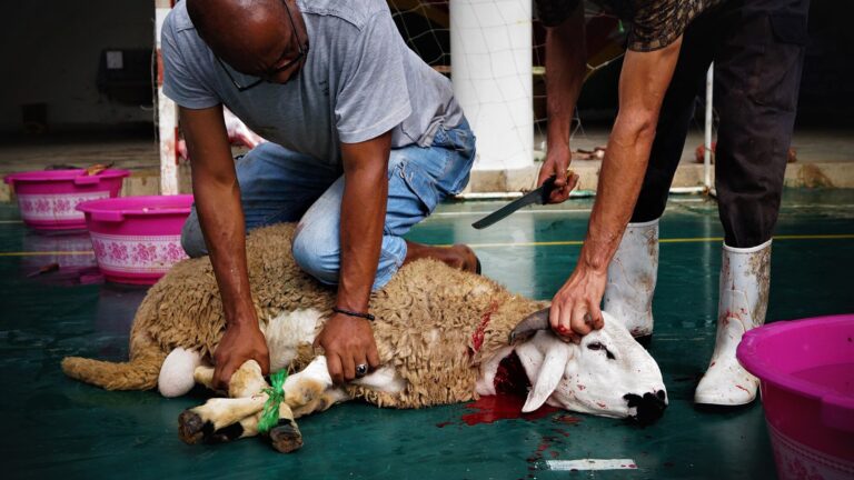 Logic Tv, Logic Tv Blog, LogicTvBlog, Logic Tv Bangla,